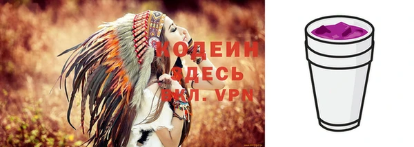 круглые Корсаков