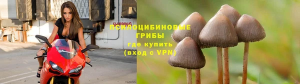 винт Коряжма