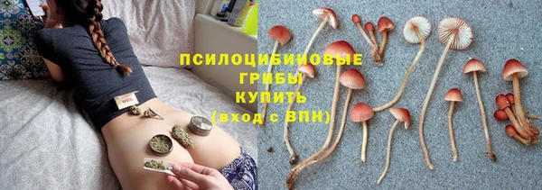 круглые Корсаков